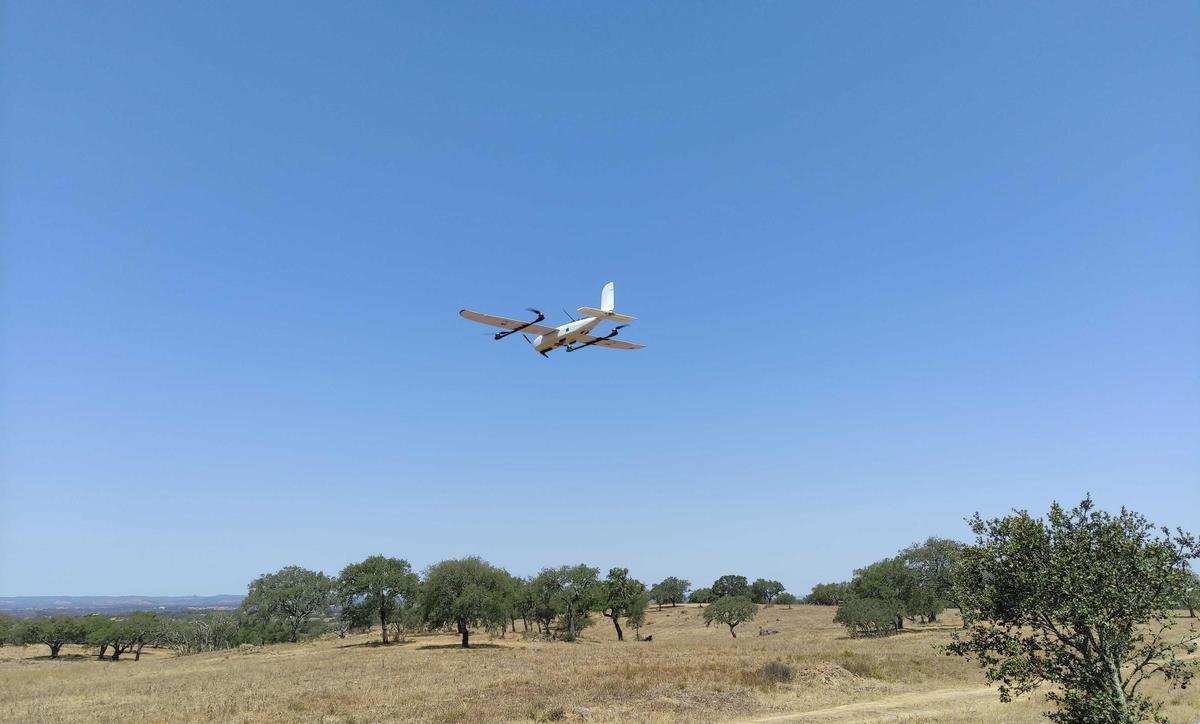 Toma de datos Ecosistema heterogéno.