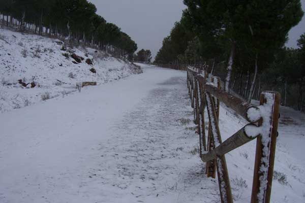 Fotos de nuestros lectores de la gran nevada