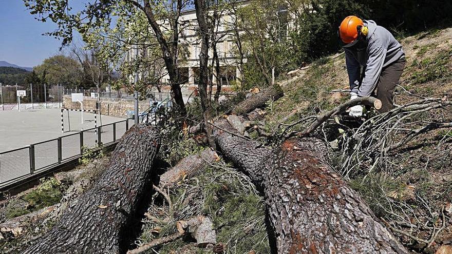 Actuació a l&#039;escola Montjuïc ahir al migdia.