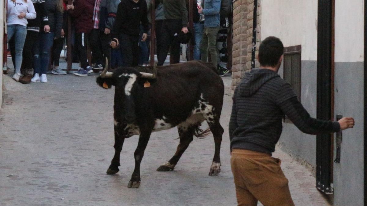 Segorbe suspende los toros del fin de semana al no poder montar el vallado