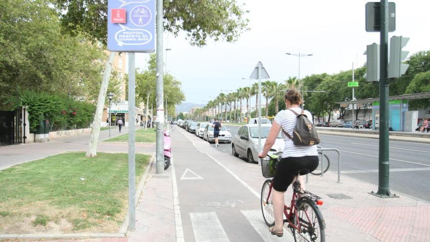 La asociación Murcia en Bici pide que se mejore la seguridad de los ciclistas con la puesta en marcha de nuevos carriles de circulación.