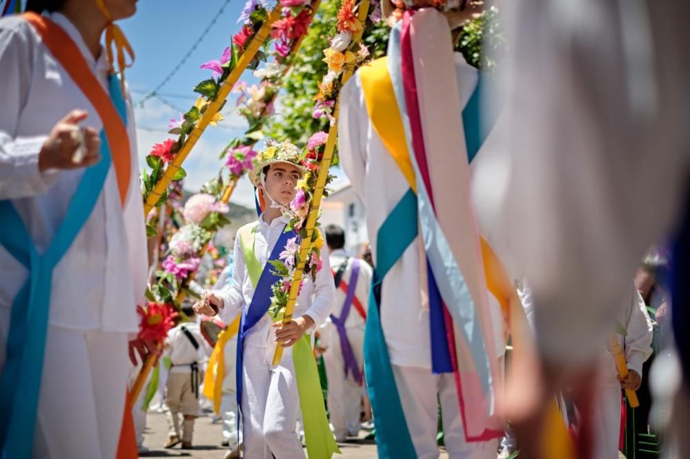 Romería de Tegueste, mayo de 2019