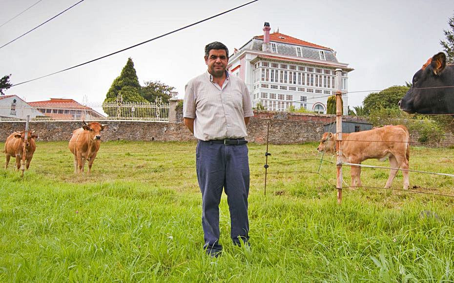 El ganadero José Luis Menéndez con sus vacas.  | P. Martínez