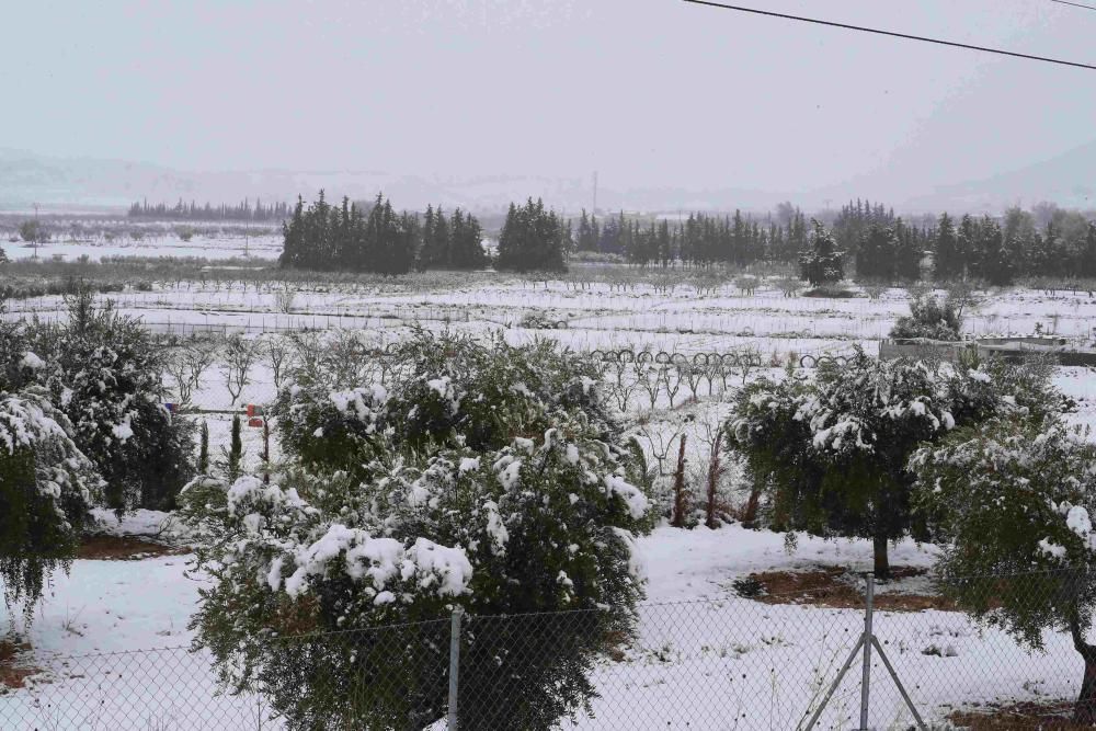 Nieve en Coy, Lorca