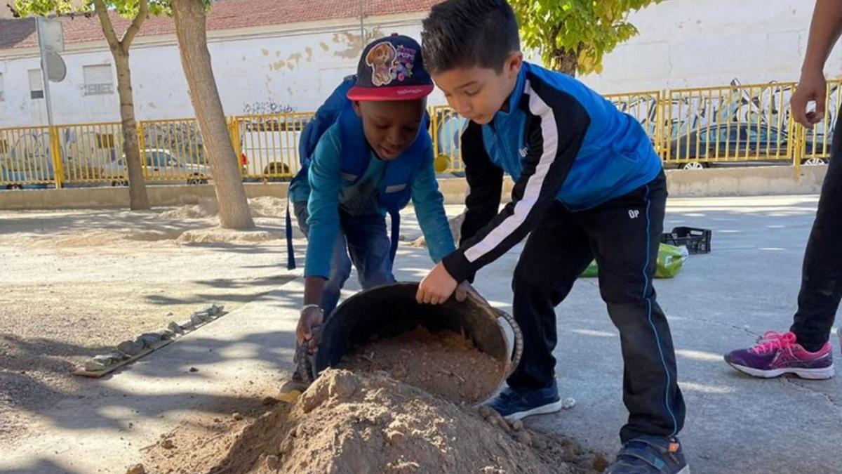 el inicio de un huerto