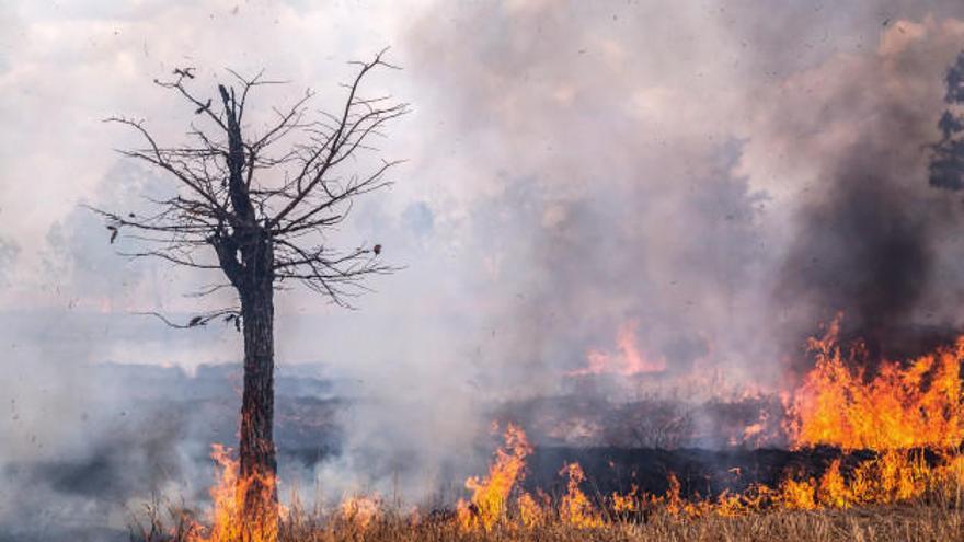 Un estudio revela que en el mejor escenario los incendios aumentarán un 40%