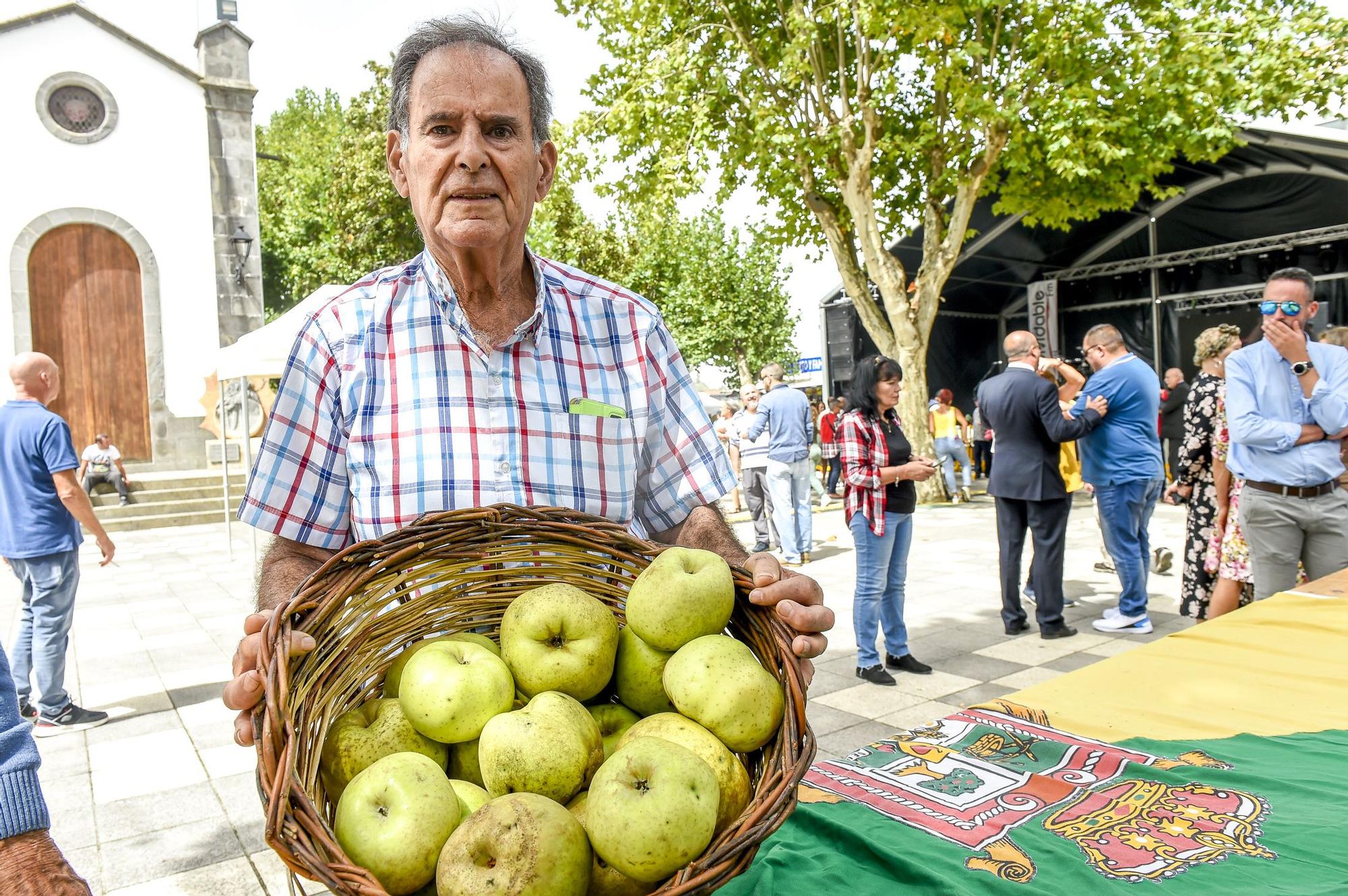 Fiestas de la manzana de Valleseco