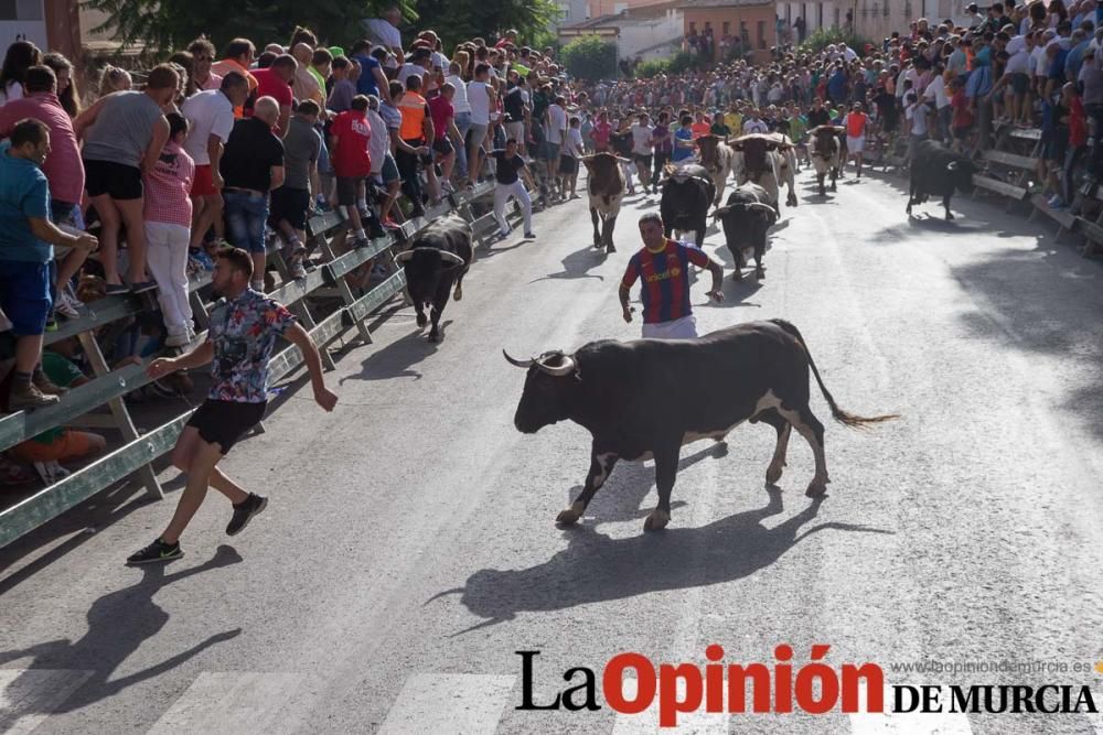 Segundo encierro de Calasparra