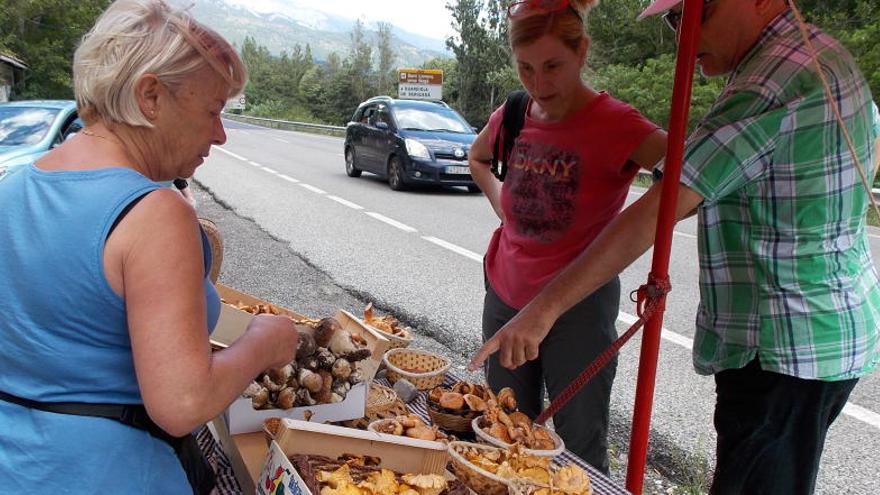 Venda de bolets en una parda a peu de la C-16.