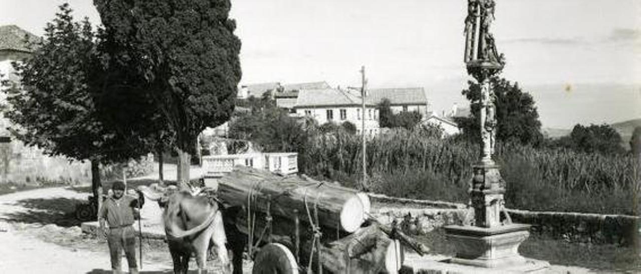 Un veciño do Igrexario co carro de vacas cargado con madeira diante do Cruceiro, no ano 1960.