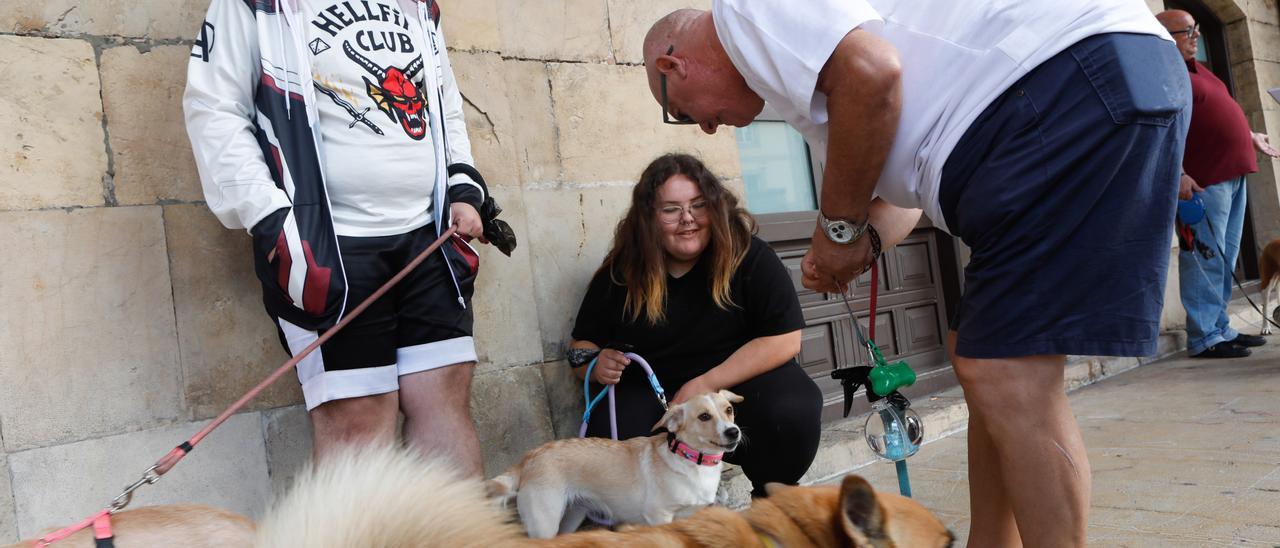 Un grupo de avilesinos en un paseo reivindicativo con sus mascotas