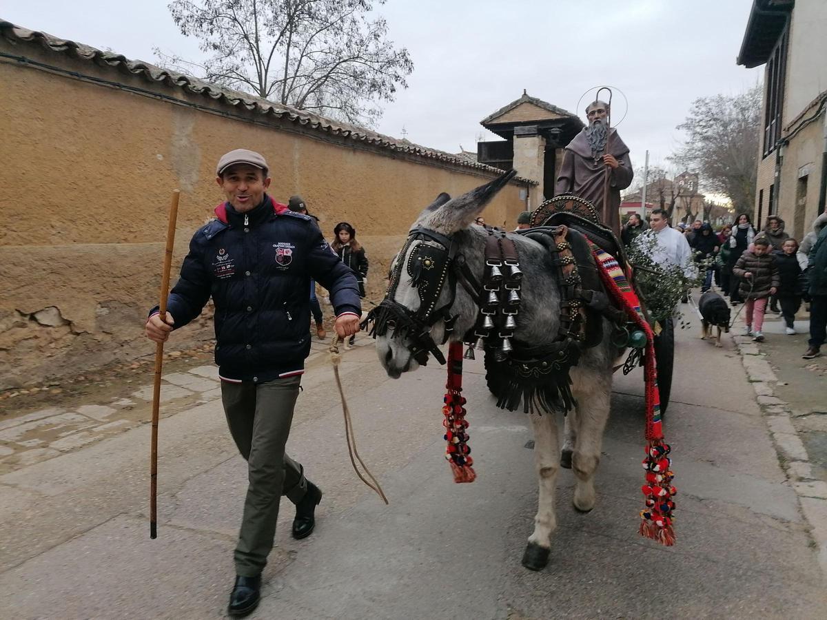 GALERÍA | San Antón procesiona por primera vez en Toro