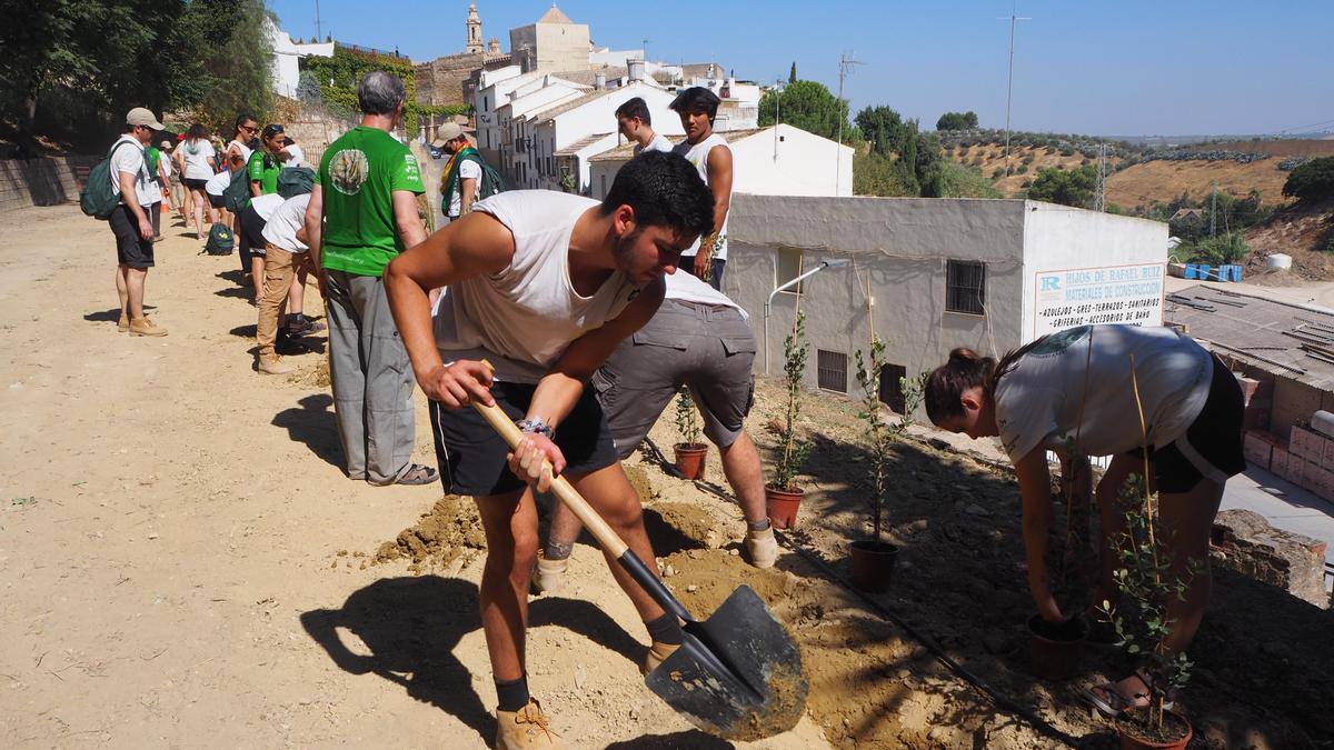 El programa también ha permitido reforestar el Parque de Las Camaretas.