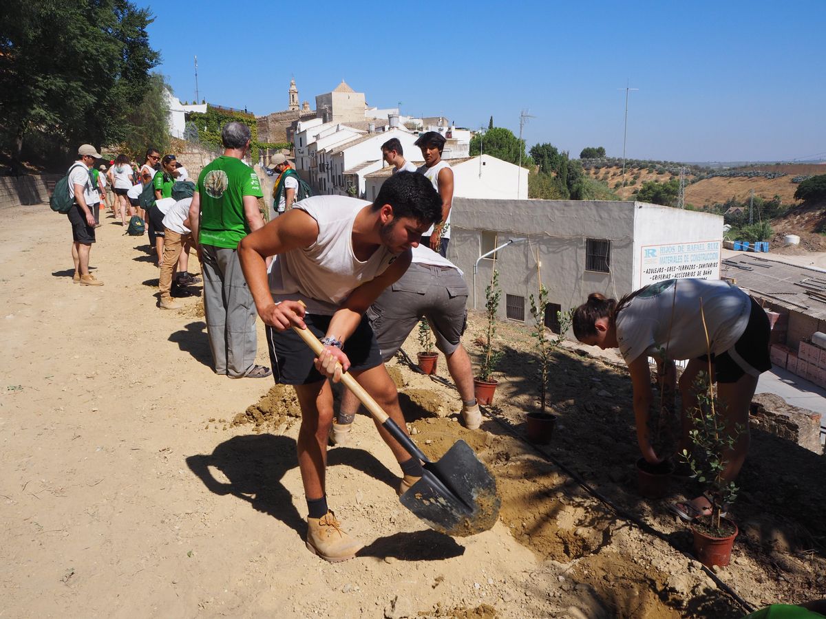 El programa también ha permitido reforestar el Parque de Las Camaretas.