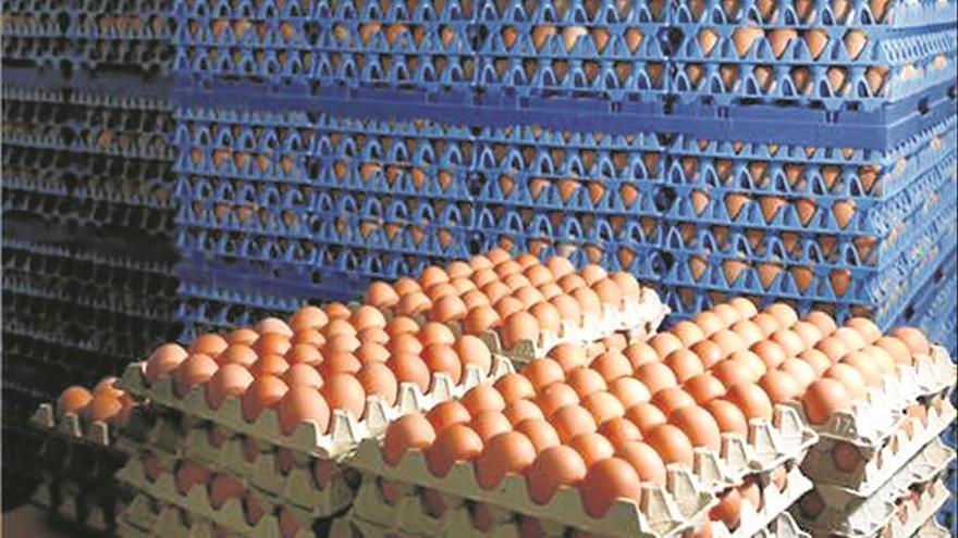 Sanidad niega la distribución de huevos contaminados en España