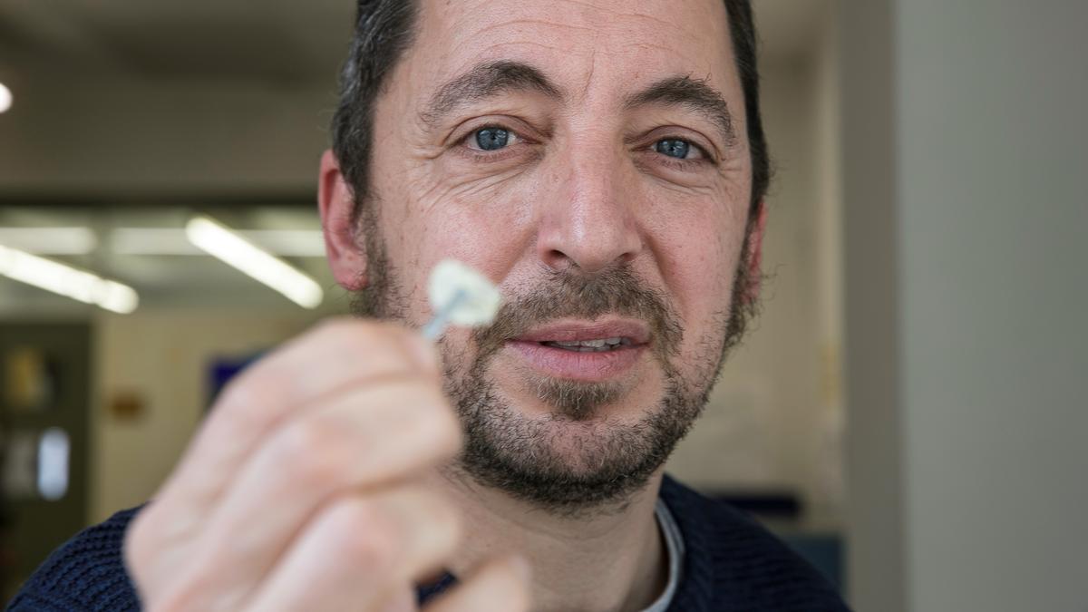 Carnicer enseña el ala de una mariposa, la 'blanqueta perfumada' (Pieris napi), que se estudia como indicador del avance del cambio climático.