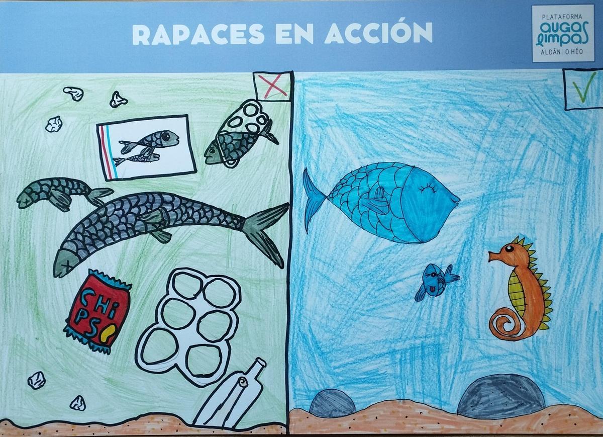 "Rapaces en acción", con los colegios de Aldán y O Hío para salvar la ría "Rapaces en acción", con los colegios de Aldán y O Hío para salvar la ría