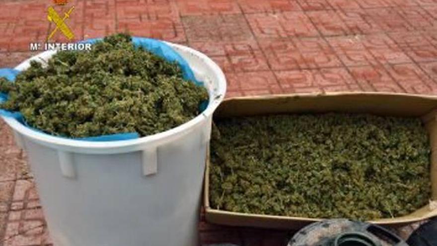 Desmantelan tres puntos de venta de marihuana con cinco detenidos en la Región