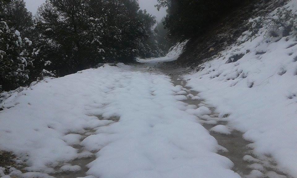 Xorret de Catí, en Elda, esta mañana