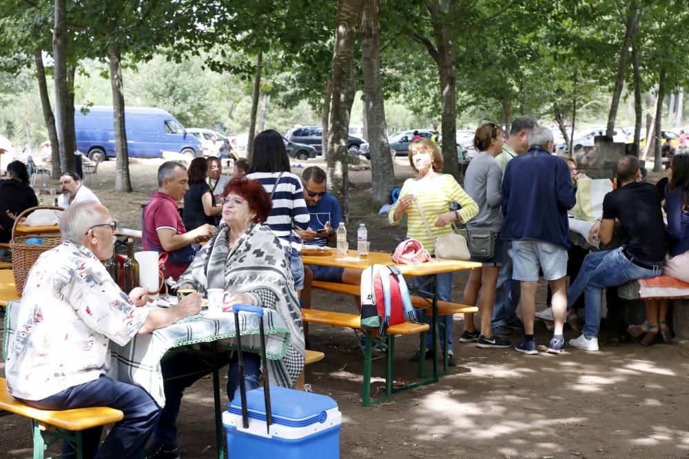 Churrasco, mejillones, sardinas y pulpo hasta empacharse en el parque forestal de Candeán.