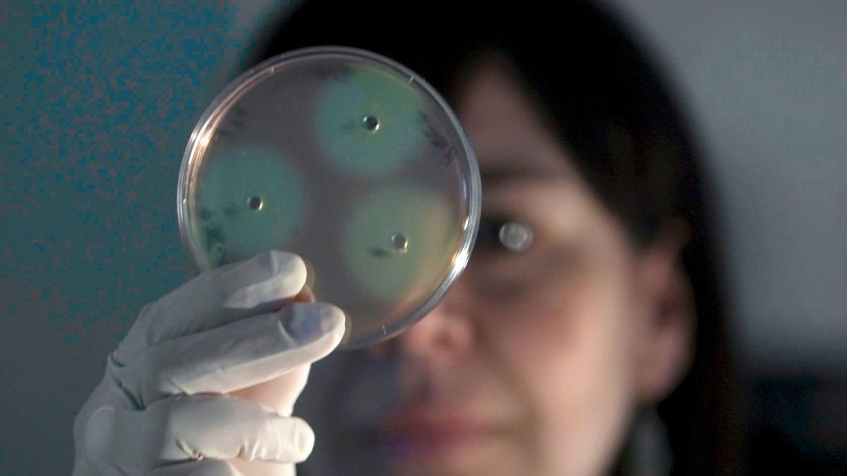 Científica en un laboratorio de investigación en el Archipiélago.