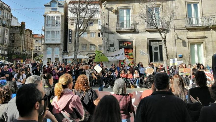 Cerca de 400 manifestantes en Vigo contra la caza. // FdV