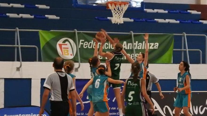 El Unicaja ganó al Cajamar CB Almería