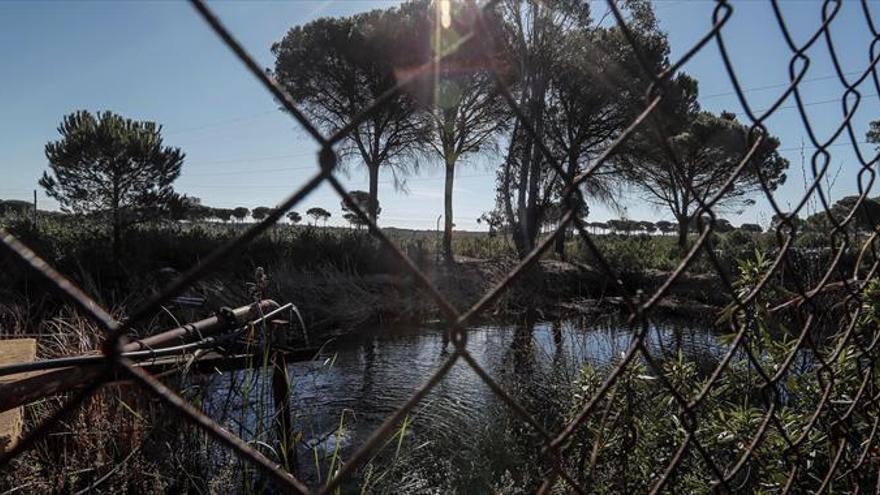 La CHG clausurará 77 pozos ilegales en el entorno de Doñana