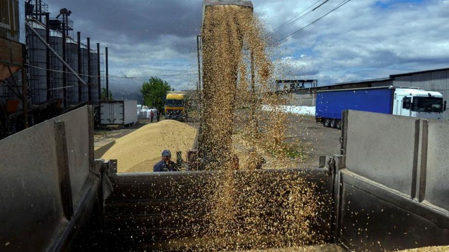 Espanya encapçala un pla per treure 8.000 tones de gra d’Ucraïna
