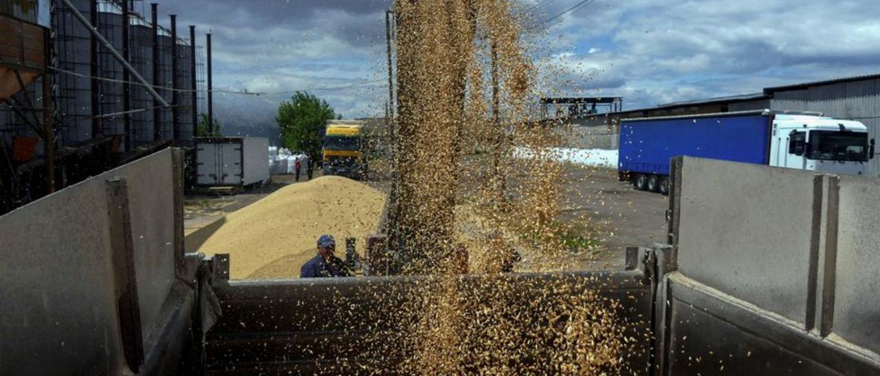 Un treballador carrega cereal en un camió a Ucraïna, ahir. | REUTERS