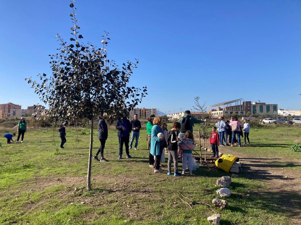 Bosque Urbano planta otros 30 árboles en los antiguos terrenos de Repsol