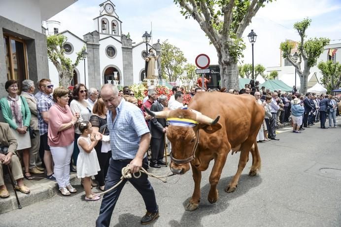 FIESTA DE VALLESECO