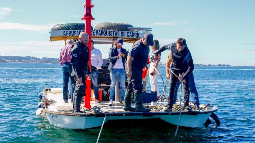 El estudio de las aguas del Ulla, en una fase decisiva