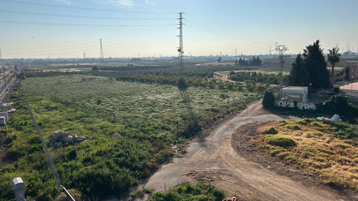 Huerta protegida de Torrent, junto a las vías de Metrovalencia, a la izquierda
