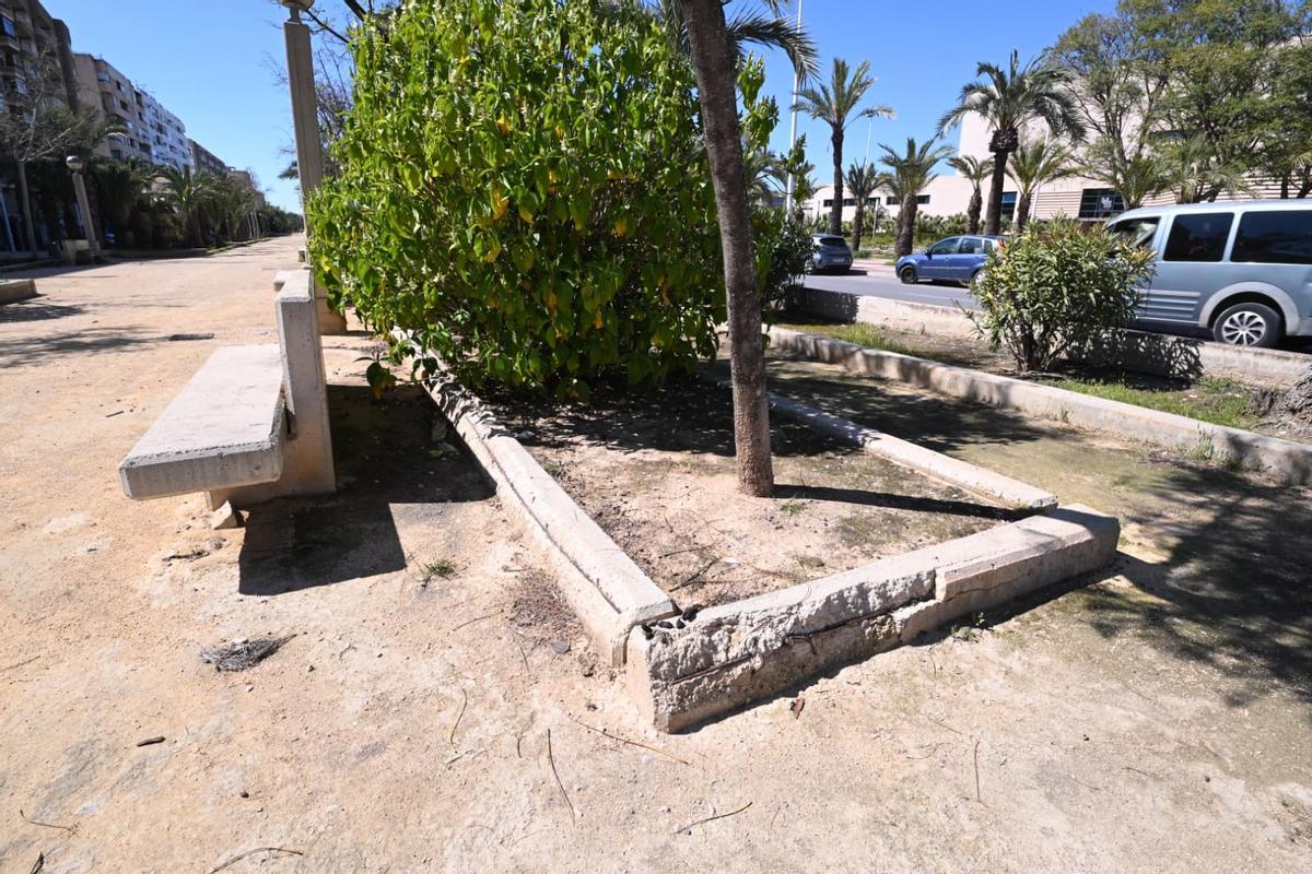 Jardinera desgastada por el paso del tiempo en el parque de la avenida de la Universidad de Elche