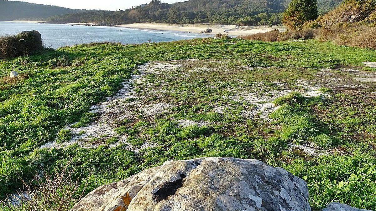 Lugar donde se realizó el desbroce y actuación denunciada por el colectivo ecologista.