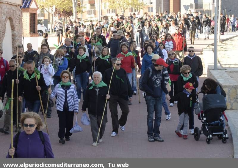 GALERÍA DE FOTOS - Romería Magdalena 2014 (3)