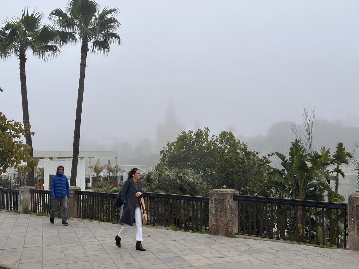 Así amanece Sevilla bajo la niebla, en imágenes