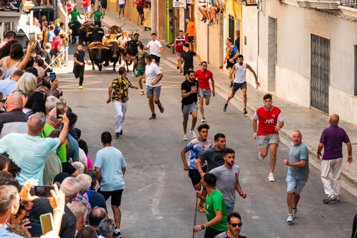 L'Alcora volverá a disfrutar de un encierro en sus Fiestas del Cristo.