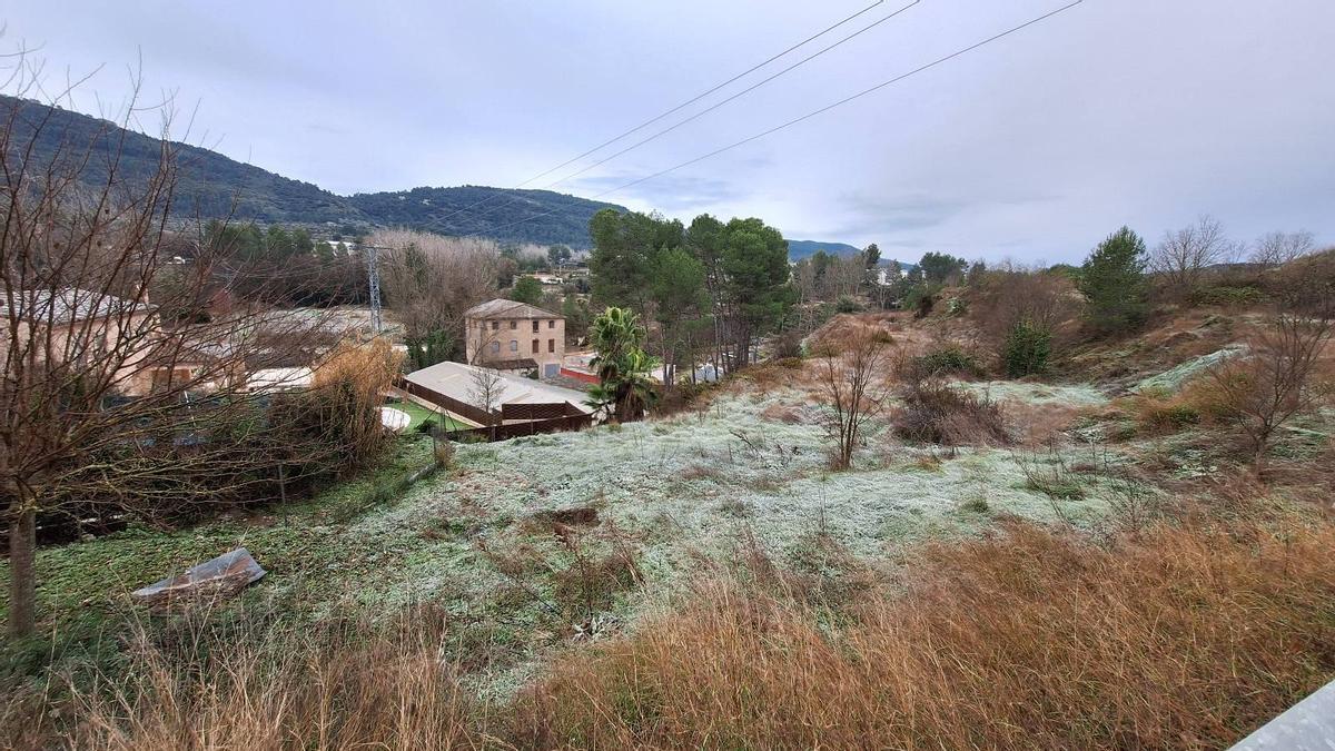 La ola de frío ya ha dejado heladas en localidades como Bocairent.