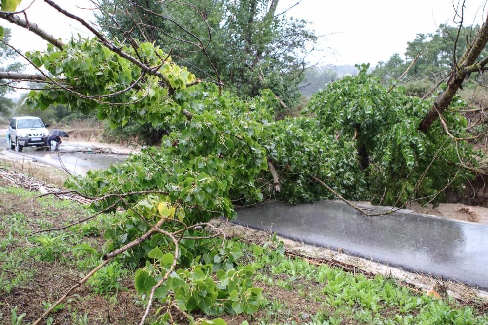 Destrozos en El Comtat por el temporal