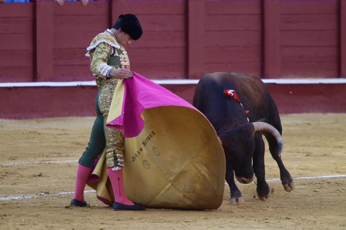 Novillada inaugural de la Feria Taurina