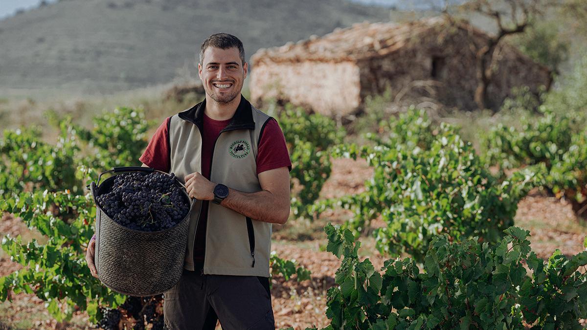 Viñedos de garnacha en Campo de Borja, una de las zonas históricas de la variedad en España.