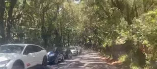 Multitud de vehículos mal aparcados en la carretera de Anaga