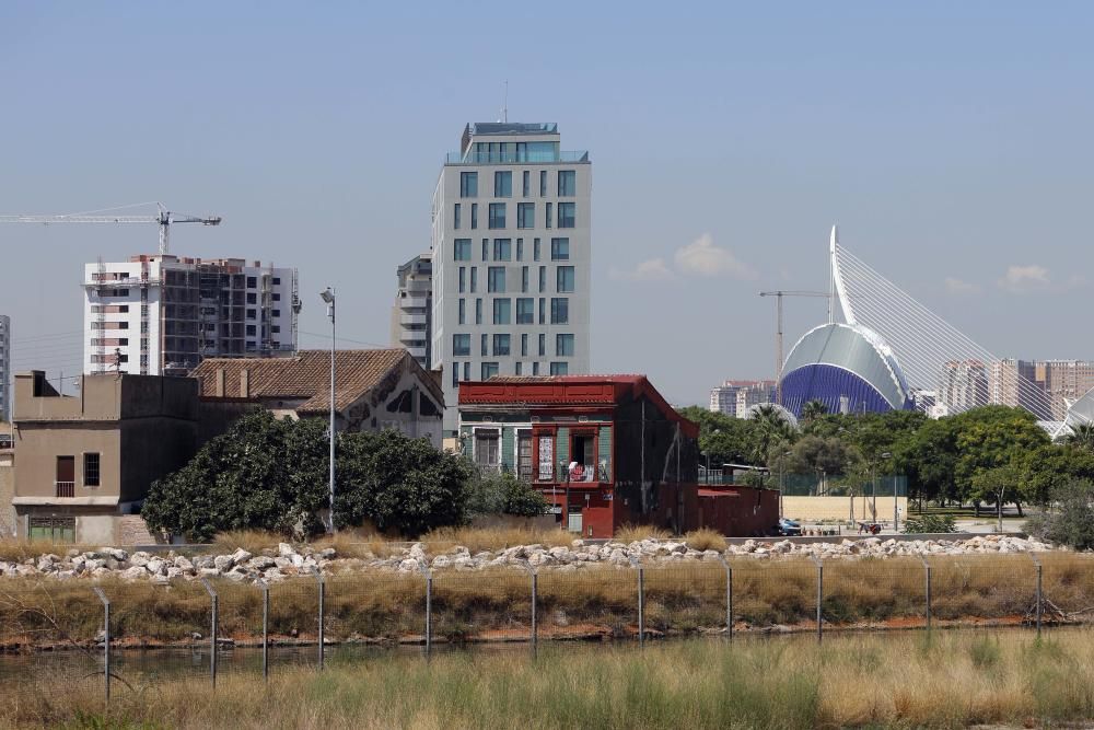 València tendrá un gran delta verte