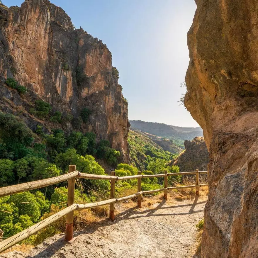 La Reserva de la Biosfera andaluza que esconde una flor única en el mundo