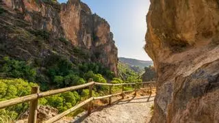 La Reserva de la Biosfera andaluza que esconde una flor única en el mundo