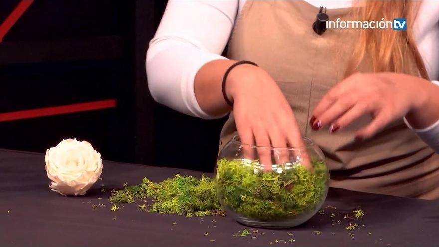 Aurora Domenech enseña a hacer un terrario en Taller Creativo