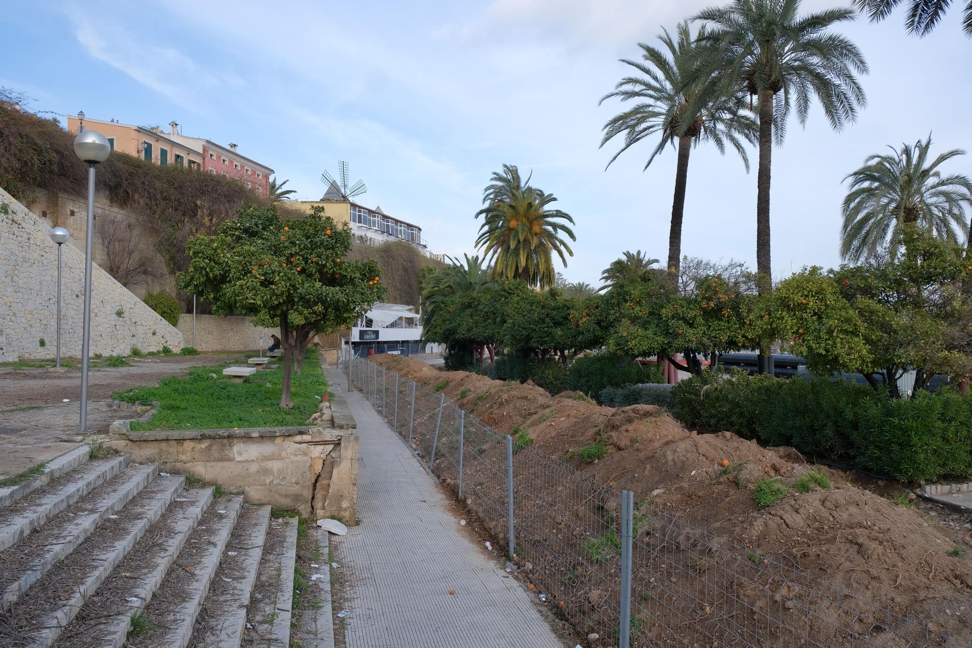 Las fotos de la evolución de obras del Paseo Marítimo de Palma después de tres meses de trabajos