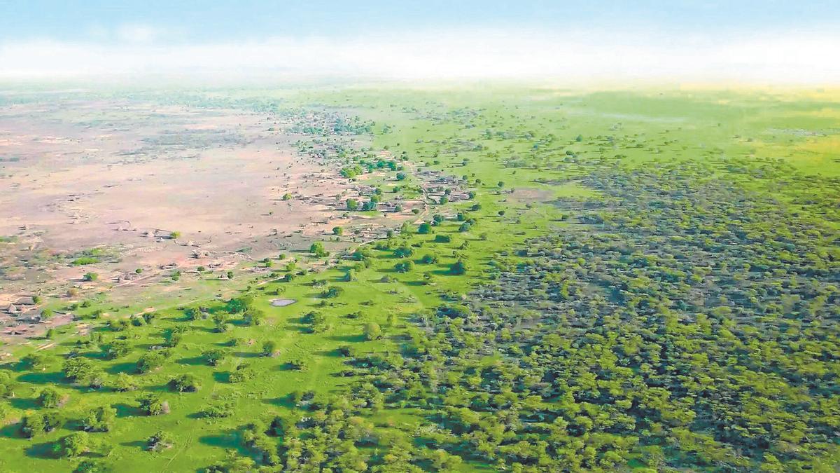 L’objectiu és frenar l’avanç del Sàhara.